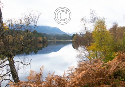 Glen Affric Scotland DM2121